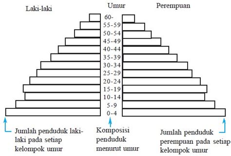 Jenis-jenis, Pengertian, dan Fungsi Piramida Penduduk - Konsep Geografi