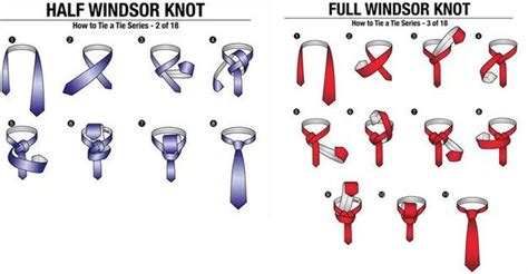 1/2 & Full Windsor knot | Knowledge for Life | Pinterest | Knots ...