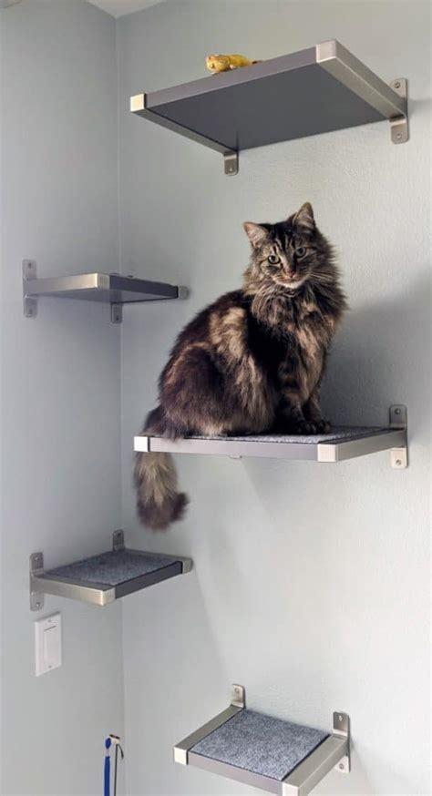 Floating Cat Shelves with IKEA GRANHULT