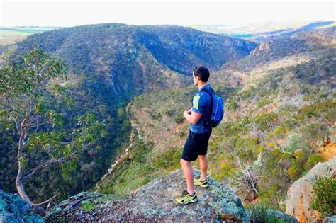 10 Best Hiking Trails Near Melbourne, Australia | Hive Life Magazine