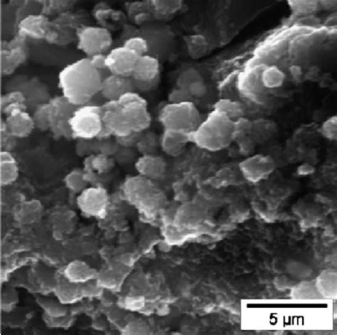 SEM photomicrograph of the zeolite, faujasite, obtained from fly ash. | Download Scientific Diagram