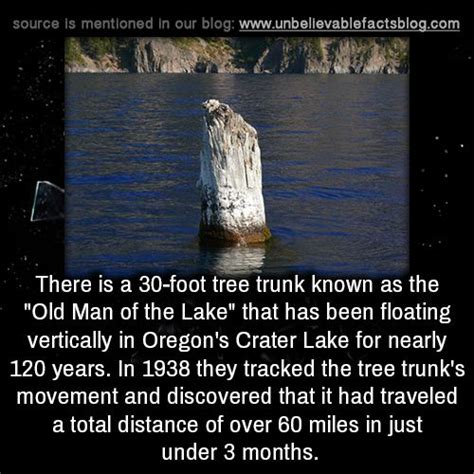 There is a 30-foot tree trunk known as the “Old Man of the Lake” that ...