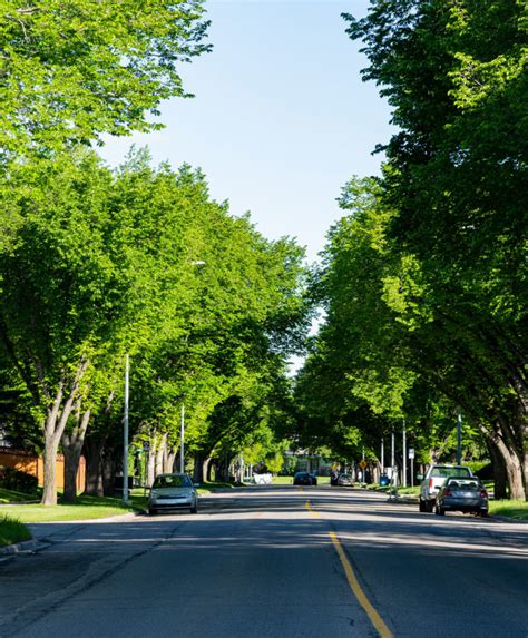 Calgary's Best Neighbourhoods 2020 - Avenue Calgary