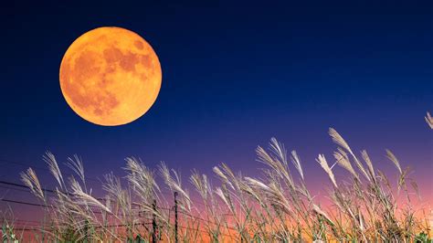 Harvest Moon: Spiritual meaning behind September's Full Moon | Woman & Home