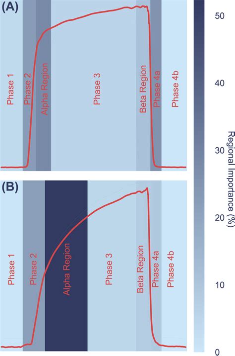 Average weighted feature importance by capnogram waveform region, where... | Download Scientific ...