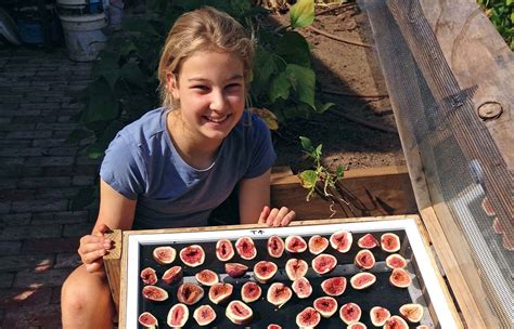 DIY: Solar dehydrator - Renew