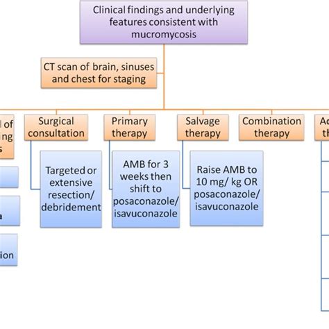 Mechanism of action of new agents in the pipeline for mucormycosis ...