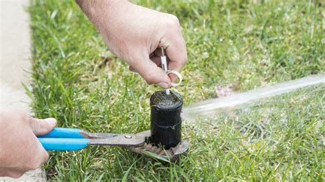 How Often Should You Be Cleaning Your Lawn Sprinkler Heads?