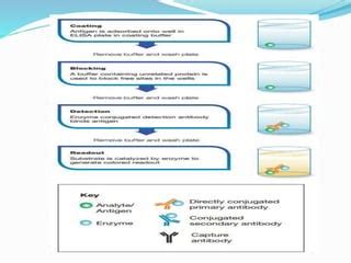 IMMUNOLOGICAL TECHNIQUES | PPT