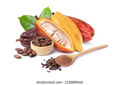 Group Various Types Fresh Cocoa Fruits Stock Photo 2130089663 ...