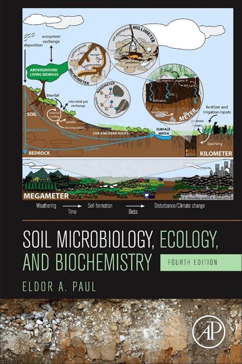 Soil Microbiology, Ecology and Biochemistry | NHBS Academic ...