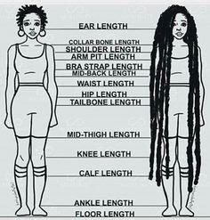 13 Best Hair length chart! images in 2016 | Hairstyle ideas, Braid ...