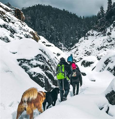 Prashar Lake Trek - Moxtain