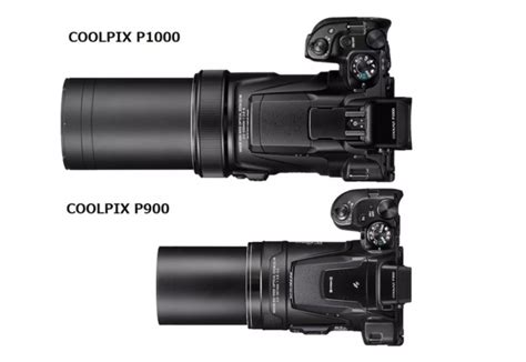 Nikon P1000 vs Nikon P900 – Comparison - GearOpen.com