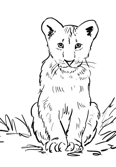 Lion Cub Coloring Page | Art Starts