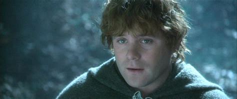 Samwise Gamgee - Samwise Gamgee Image (12089119) - Fanpop