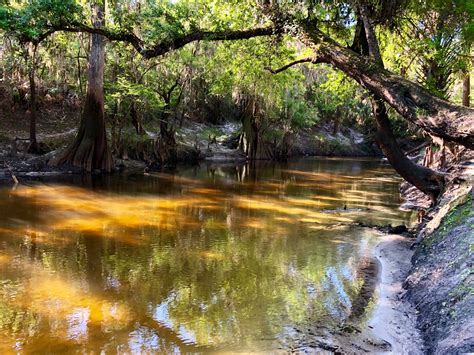 Explore Peace River | Florida State Parks