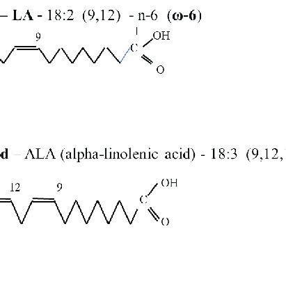 Essential fatty acids. Fig. 2. Polyunsaturated fatty acids synthesis... | Download Scientific ...