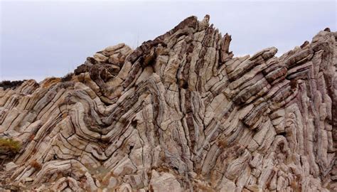 Tectonics and Structural Geology | Features from the field: Folding