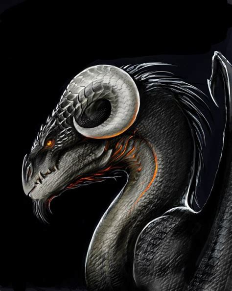 blackdragon | Fantasy dragon, Dragon artwork, Dragon pictures