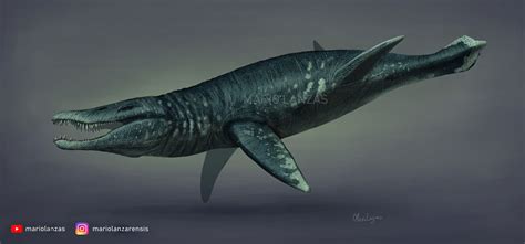 Pliosaurus | Prehistoric Wiki | Fandom