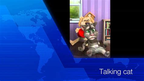 Funny Talking Tom Cat Video - YouTube