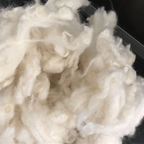 Raw Sheep Wool Fiber for Carpet - Carpet Wool and Sheep Wool price