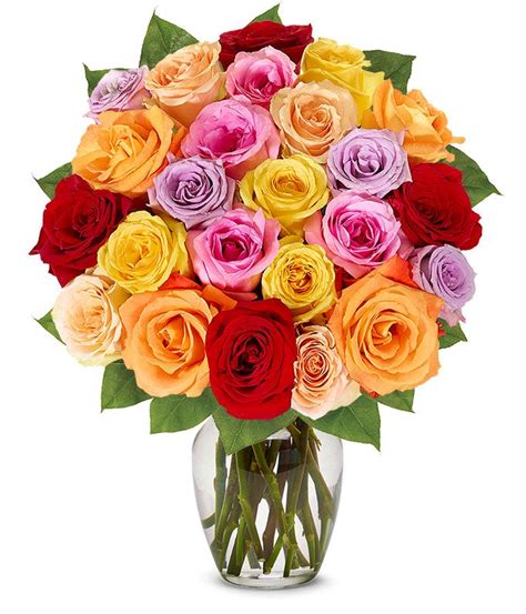 Two Dozen Rainbow Roses at From You Flowers