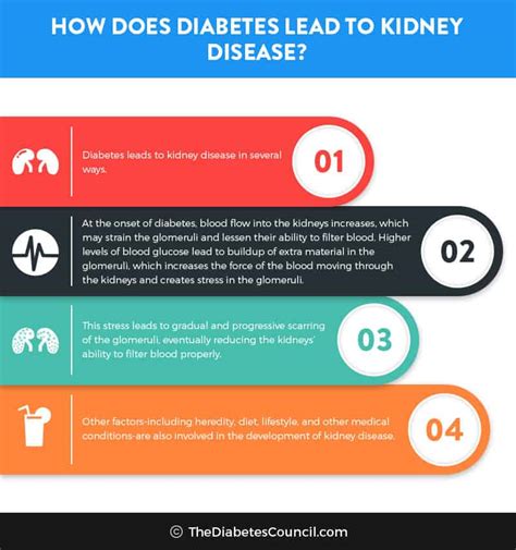 Diabetes And Renal Failure: Everything You Need To Know