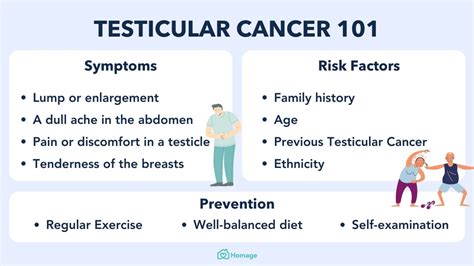 Understanding Testicular Cancer: Key Facts and Practical Advice