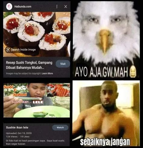 10 Meme 'Sebaiknya Jangan' Ini Antisipasi Kemungkinan Buruk