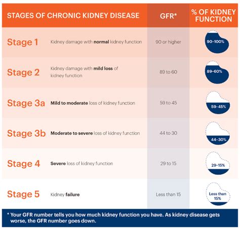 Chronic Kidney Disease Staging by GFR (National Kidney Foundation) | Kidney disease stages ...