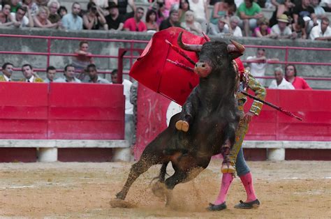 Colombia: Alcaldía de Medellín prohibe las corridas de toros - Noticias Uruguay, LARED21 Diario ...