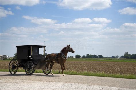 Amish horse and buggy stock photo. Image of farm, horse - 127550202