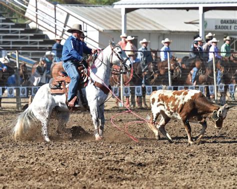 Clay O'Brien Cooper: Keep Challenging Yourself | Team roping, Horses, Rodeo