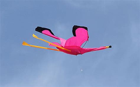 Which Bird Kite For You? From Americans, Balinese or Chinese