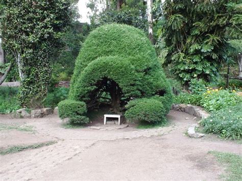 philipveerasingam: Nuwara Eliya Gardens, Nuwara Eliya, Sri Lanka.