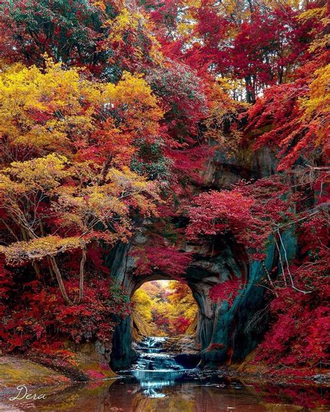 Kameiwa Cave, Kamogawa, Japan | Naturbilleder, Haveindretning, Haver