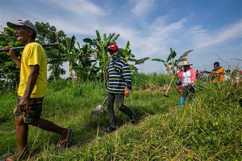 ‘Win-win’ solution halves MAKISAMA-Tinang’s share of agrarian reform land