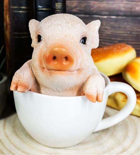 Buy Ebros Gift Adorable Babe Pink Teacup Pig Figurine 5.25" Tall ...