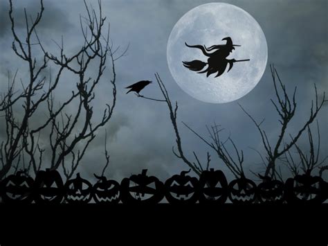Halloween Witch Full Moon Free Stock Photo - Public Domain Pictures