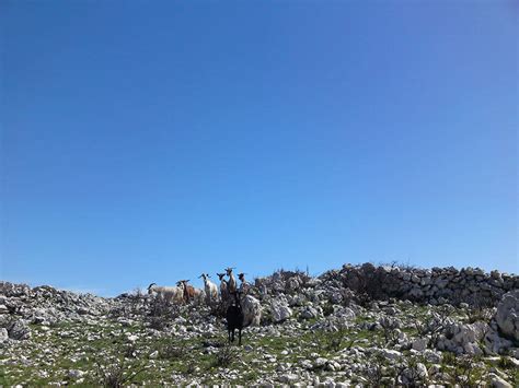 Fora Zakynthos - Hiking | Nature | Experience - Hiking