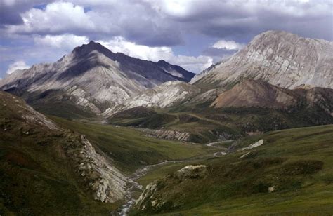 Pristine mountain habitats are also not safe from climate change