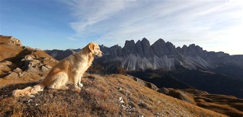 Sunny - South Tyrol - Puez-Geisler Nature Park - Dolomites - Earth's Wild Wonders