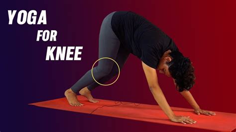 Understanding Knee Pain In Yoga Aimee Newton - vrogue.co