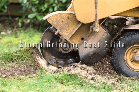 Here You Can Find The Complete Stump Grinding Cost Guide | Stump removal, Types of soil, Removal ...