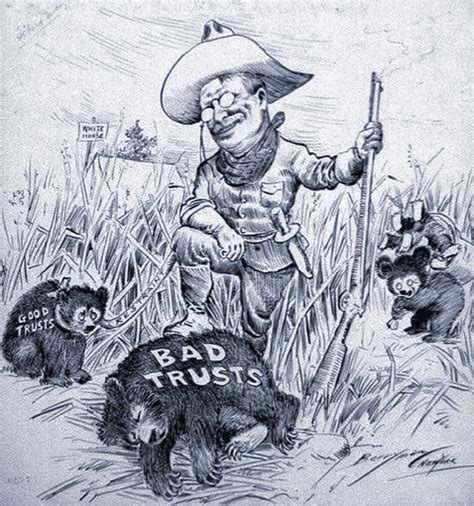 TR and the Trusts - Andy Hsu - US History