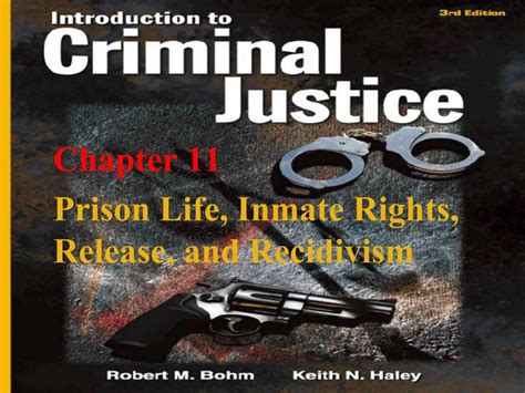 PPT - Prison Life, Inmate Rights, Release, and Recidivism PowerPoint Presentation - ID:351064