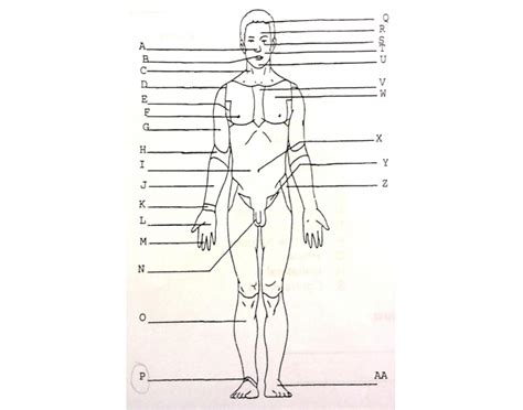 Anatomy - Body Regions (Front) Quiz