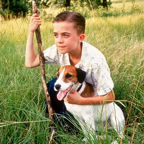 What are our 20 Top Dog Movies? - Talent Hounds